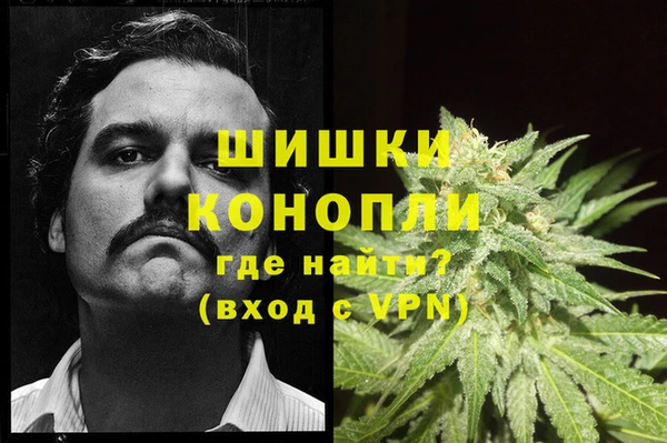 соль ск Мегион
