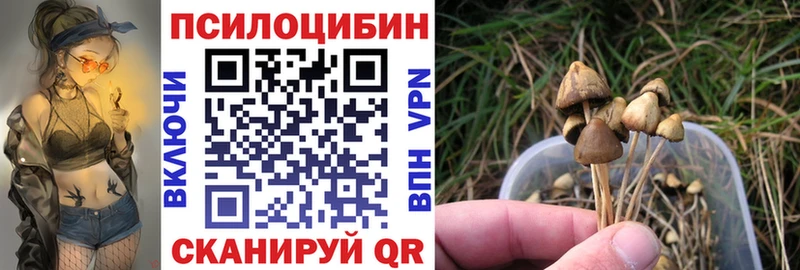 Псилоцибиновые грибы Cubensis  хочу наркоту  Суровикино 